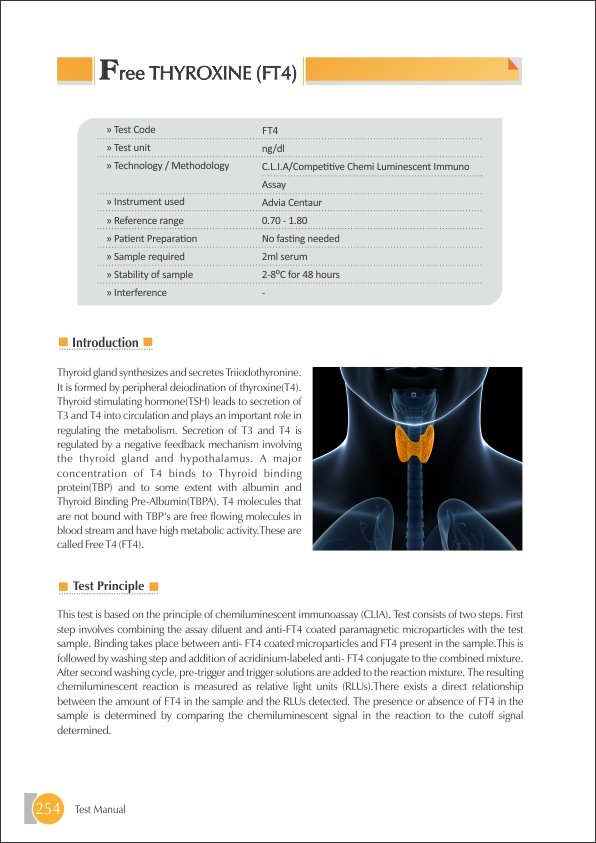 Free Thyroxine (FT4) Test