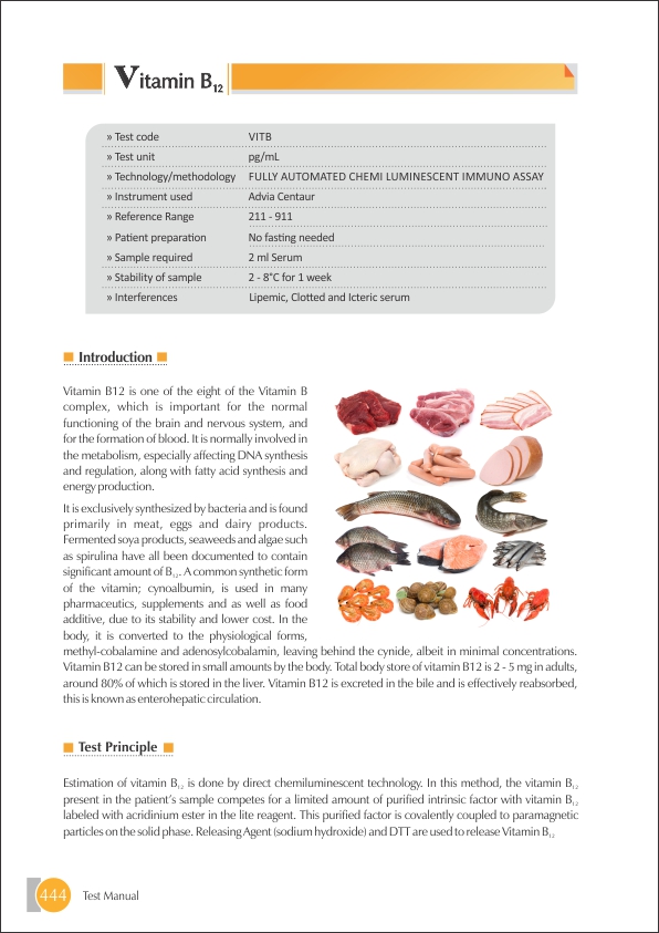 Vitamin B-12 Test