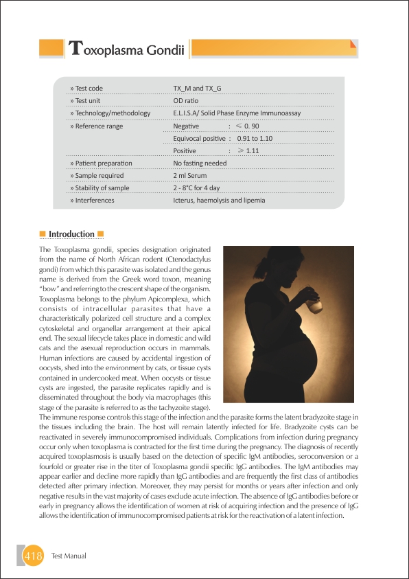 Toxo Gondii - IgG Test
