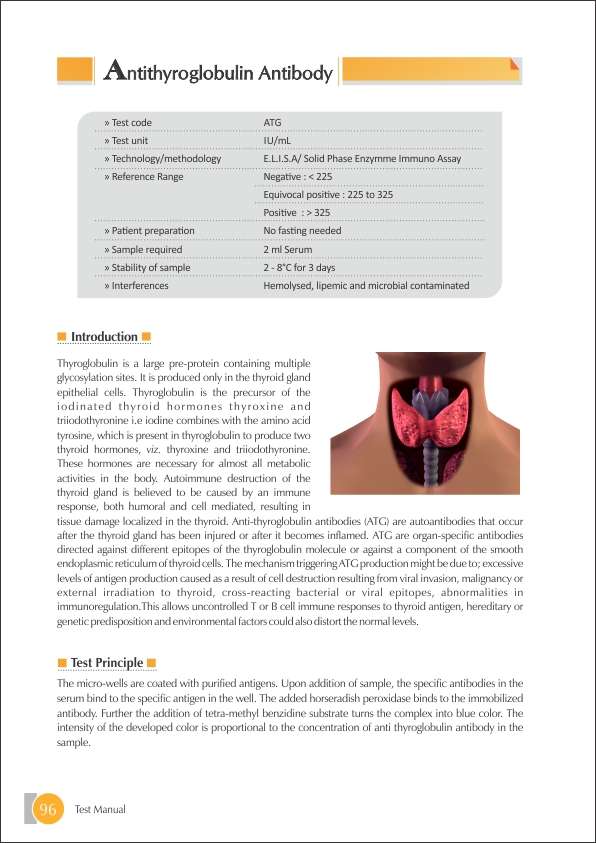 Anti Thyroglobulin Antibody (ATG) Test