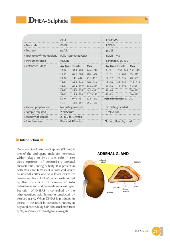 DHEA - Sulphate (DHEAS) Test