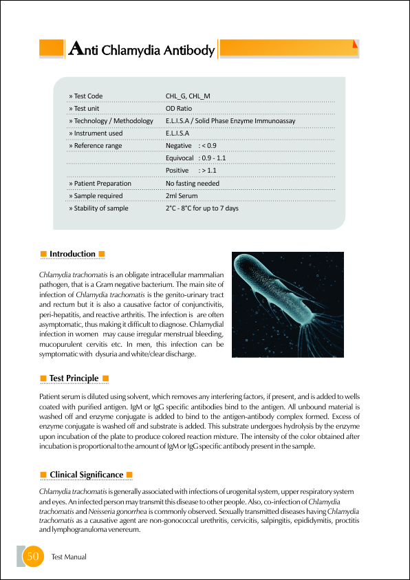 Anti Chlamydia Antibody IGG Test