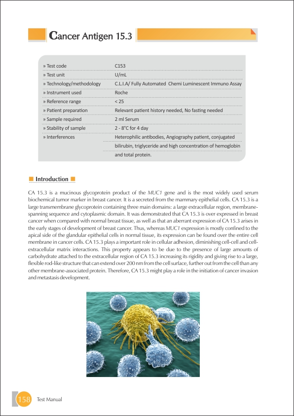 CA 15.3 Test